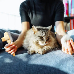 Pet Flea Comb - Sale ✨